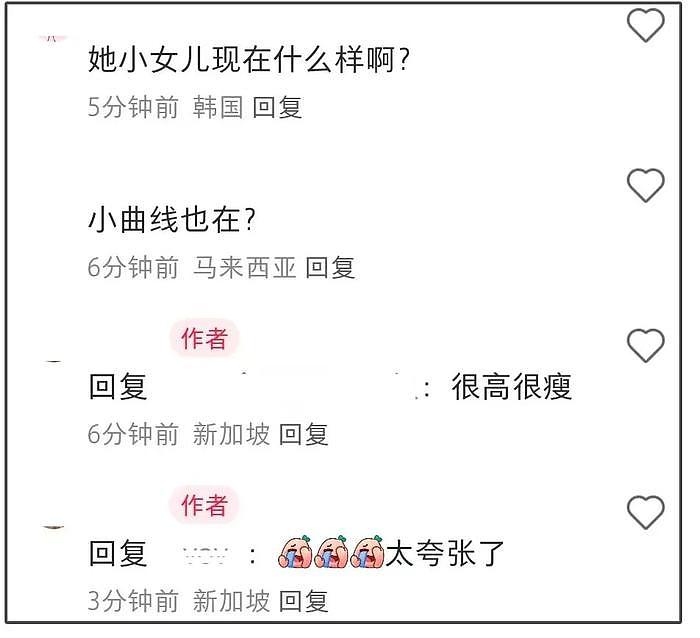 小S老公被偶遇带娃出游，同行女子并非小S，被质疑有私生女 - 8