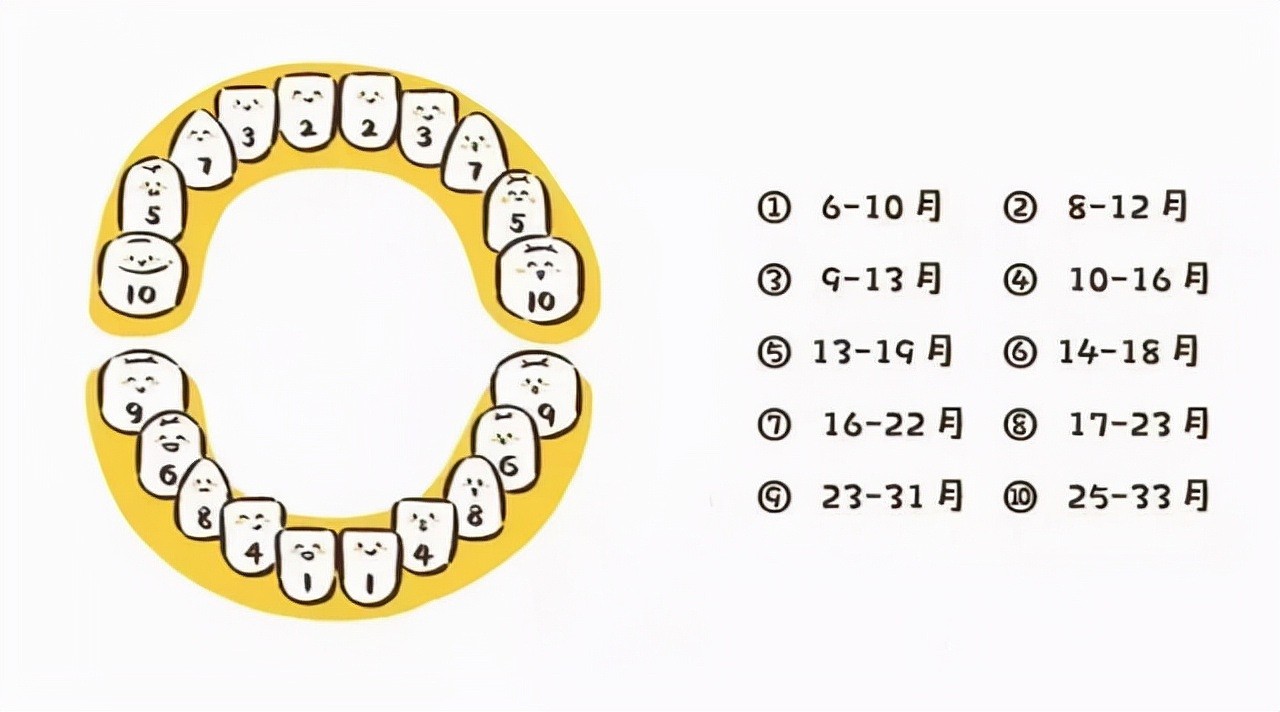宝宝究竟多大长牙才算正常？宝妈对照“出牙顺序表”就心理有数了 - 5