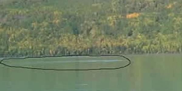 1995年喀拉斯湖水怪之谜，专家查了很久说是大红鱼