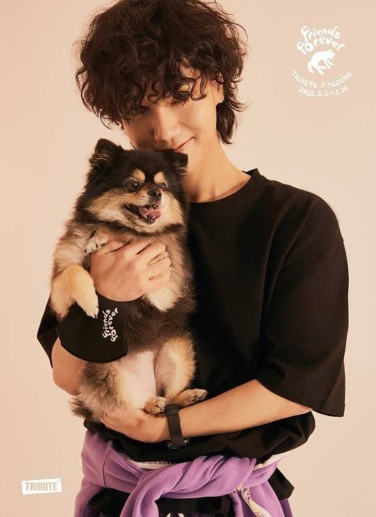 Super Junior艺声参加公益活动拍宣传海报 与狗狗贴脸好温柔！ - 1