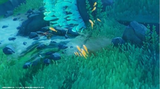 《原神》直播展示潜水元素 未来或可解锁水下世界 - 2
