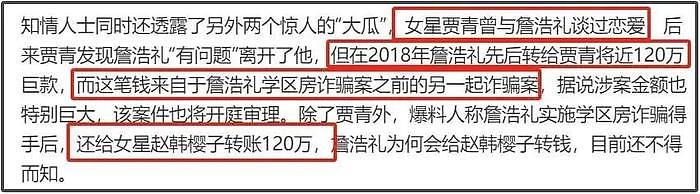 王丽坤前夫案诈骗案细节曝光！花费几百万去嫖小明星，名单都有了 - 7