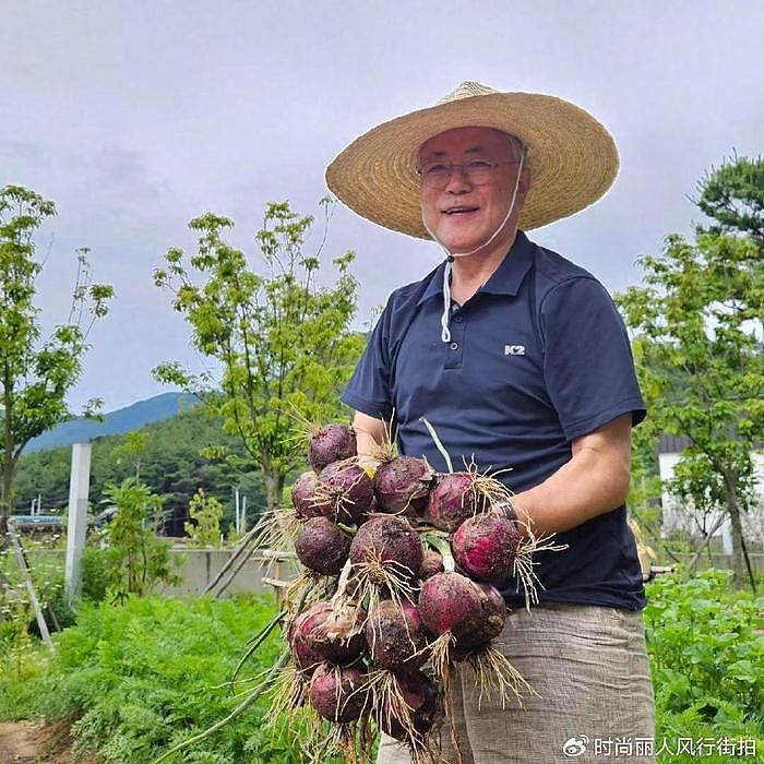 71岁文在寅收获一大波蔬菜太开心！捧着洋葱秀收成，成了“农夫” - 1