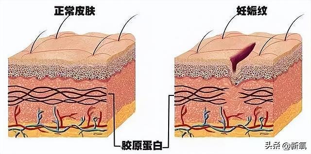 结婚7年还要被骂借肚上位？她才是娱圈最惨嫂子吧 - 13