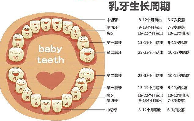 同样都是小婴儿，为何宝宝出牙有早有晚？主要和3个因素有关 - 2