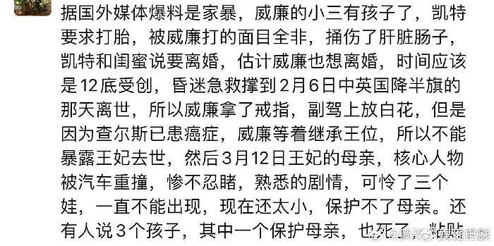 外媒称梅根十分担心凯特王妃，消失80多天，各种疯狂猜测版本涌现 - 6