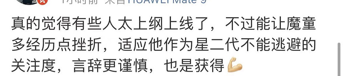 儿子失言，袁咏仪发文澄清：全家爱国爱港，支持一个中国态度没变 - 14