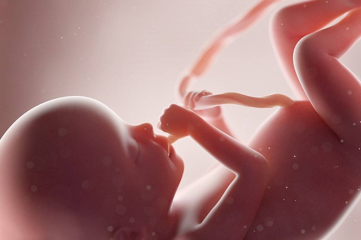 孕期胎儿在黑漆漆的子宫里会无聊吗？不！胎儿的“日常”很有趣 - 4