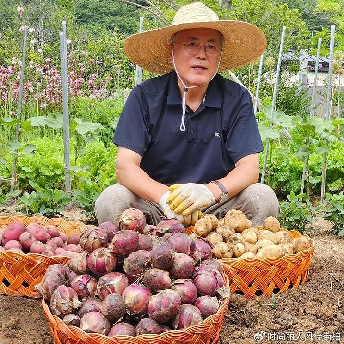71岁文在寅收获一大波蔬菜太开心！捧着洋葱秀收成，成了“农夫” - 2