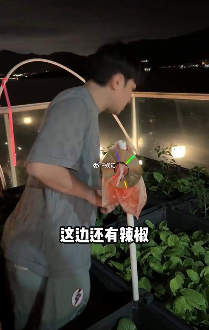 王祖蓝一大家人为饼印妈妈庆生 展示豪宅阳台亲自种的蔬菜 - 9