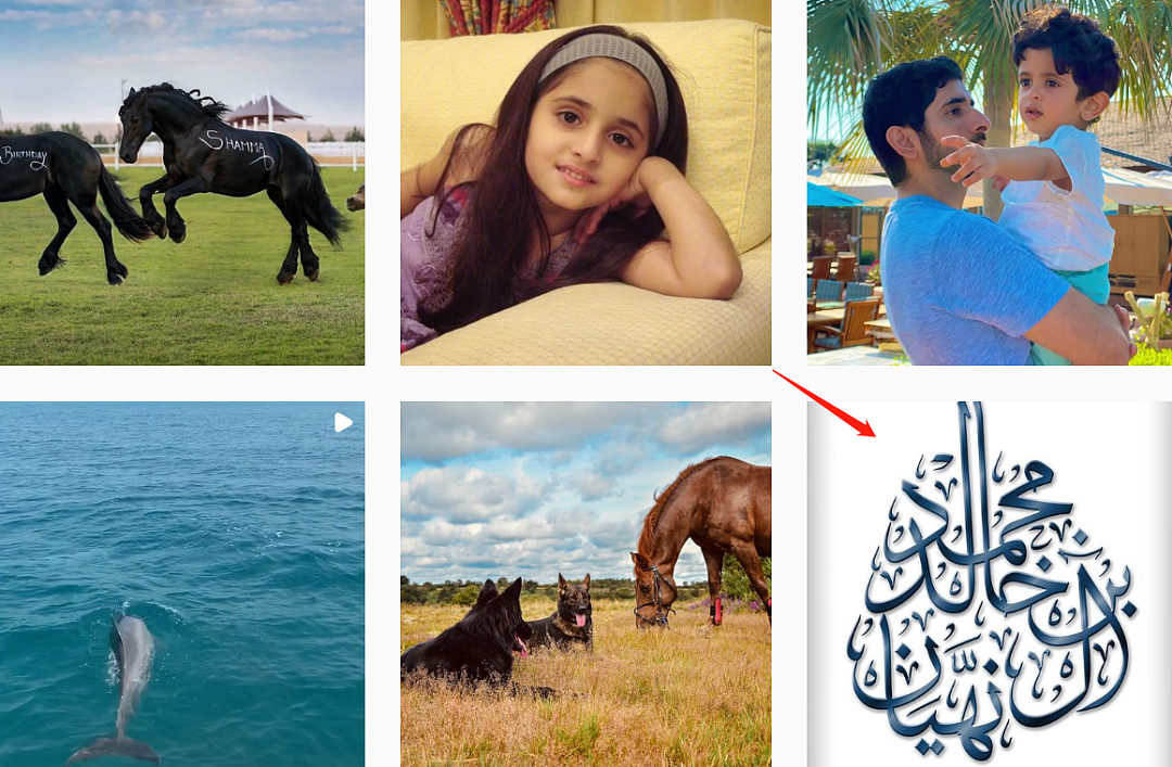 与众不同的王室网红，迪拜最美公主公开个人账号，内容却令人心酸 - 20