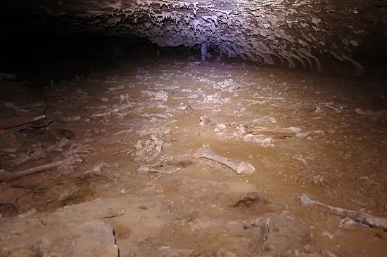 　在毛利人居住过的洞穴遗址中，发现了大量的恐鸟骨骼 | Ancientnz  / Wikimedia Commons