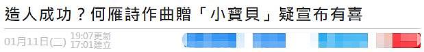 何雁诗郑俊弘宣布怀孕喜讯，自曝一索得男迎虎宝宝，预产期也曝光 - 3