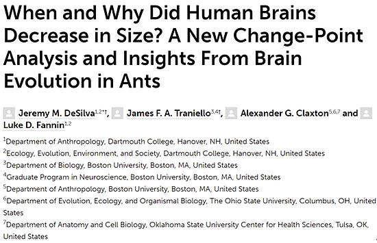 三千年前，人类大脑为何神秘变小？解开谜团的线索来自蚂蚁 - 1
