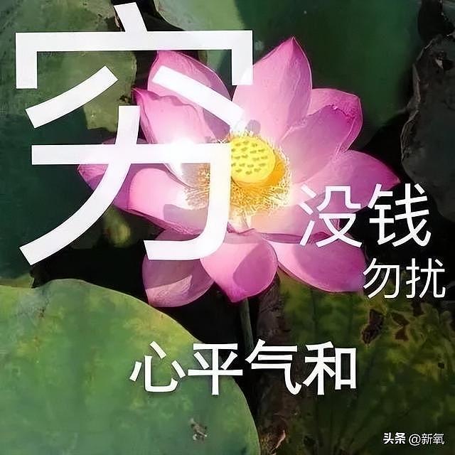 别人忙着do出少女感的时候，她35岁就开始为自己选遗照了？ - 25