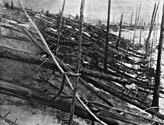 通古斯大爆炸后倒下的树木，摄于 1929 年 | Kulik Expedition