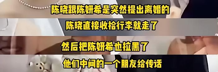 卓伟曝陈晓婚变原因炸裂，孩子遭猜测非亲生，网友痛批男方没担当 - 6