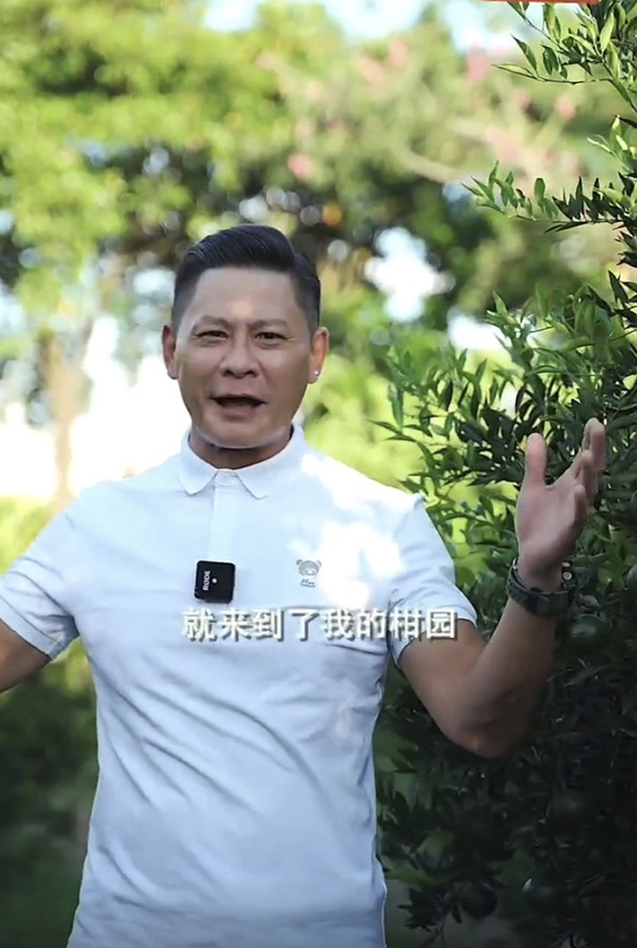 TVB绿叶林敬刚移居内地开果园，自曝年产百万斤，已开店自产自销 - 6