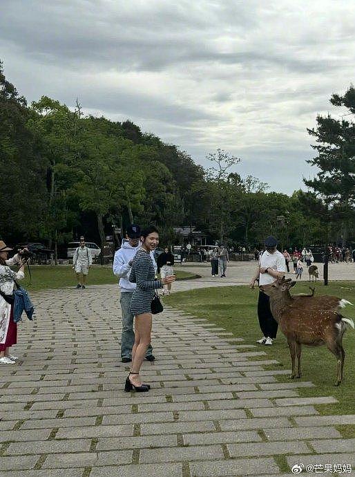 网友在奈良偶遇马思唯和新女友喂小鹿，新女友也是身高腿长啊 - 2