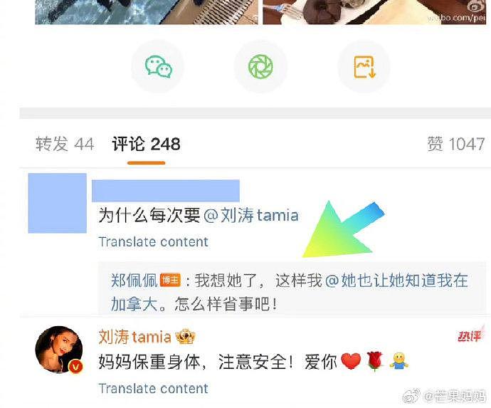 才发现佩佩姐每条微博都艾特了刘涛 - 1