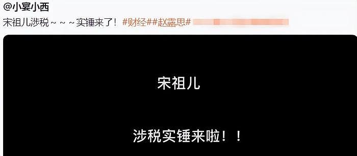 宋祖儿风波反转！工作室否认偷漏税，举报人怒骂她恶毒，扬言还有大瓜 - 2