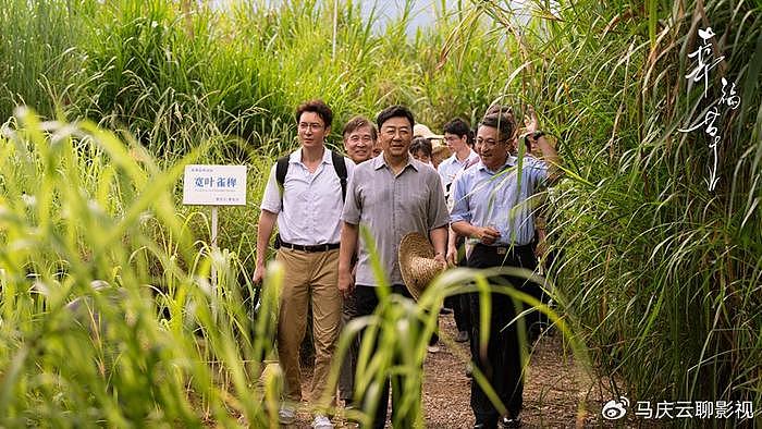 《幸福草》央一首播，生活当中求真实，乐观当中求力量，一部好剧 - 1