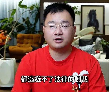 小杨哥不敢回应沫沫去向，哭求别网暴，辛巴怒怼无赖只会装可怜 - 5