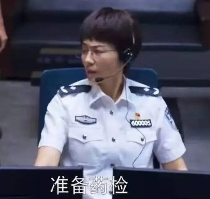 《开端》十大演技排行，刘涛垫底，“锅姨”刘丹是第一 - 4