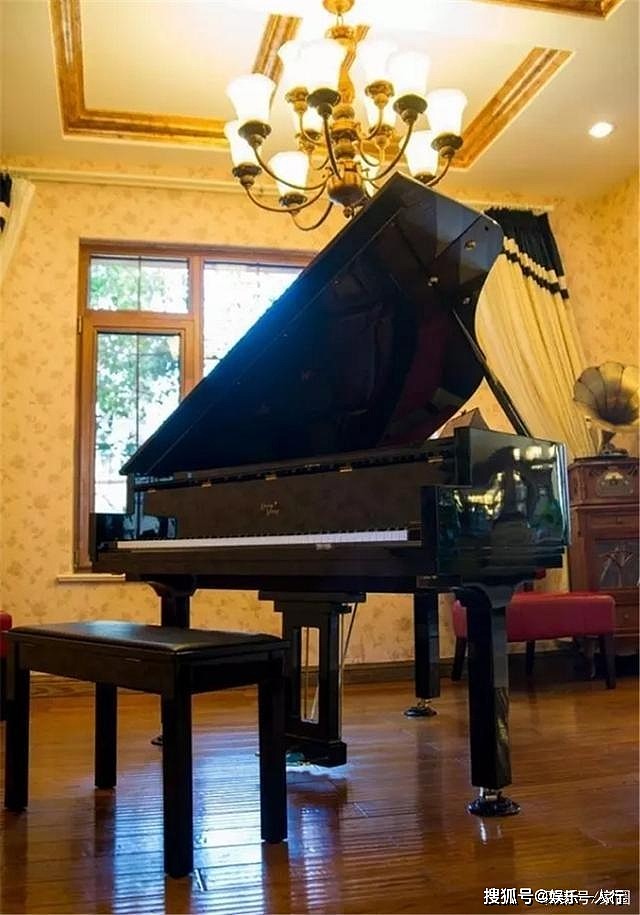 钢琴家郎朗豪宅，老派奢华复古风，浓浓的“爹味”，到处放自拍照 - 7