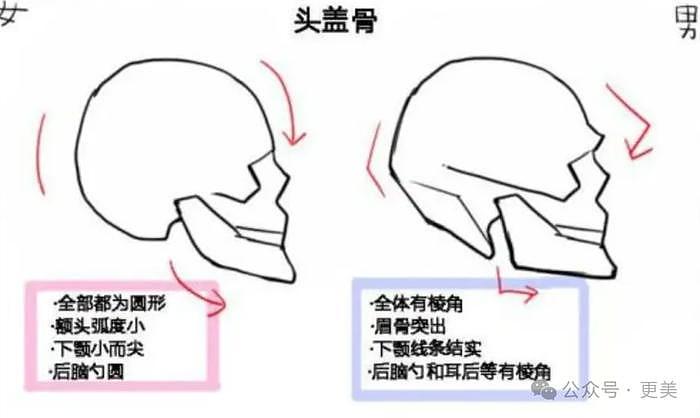 泰国豪门围猎中国女星！大幂幂是老婆首选… - 37