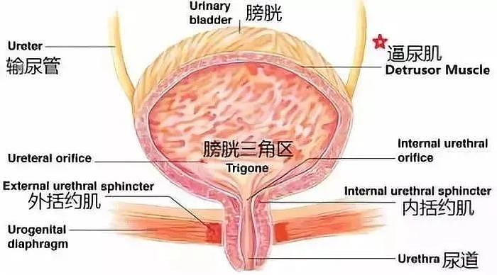 公开甩锅前男友，为了媚粉泫雅也开始回踩了？！ - 20