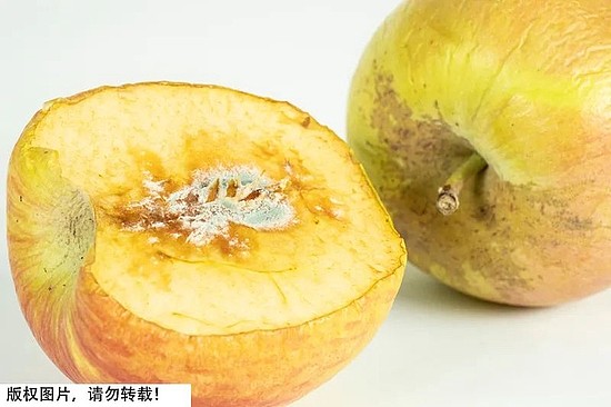 腐烂水果致癌性有多高？一对夫妻常吃变质水果双双患肝癌 - 2