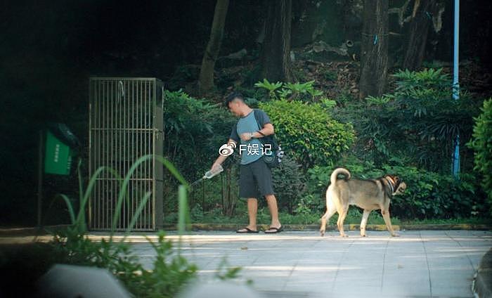 黄心颖注册结婚后首次被拍到！与失婚大14岁男友笑着遛狗散步 - 5