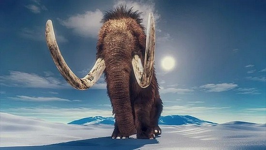 从生的一端到死的一端：象牙记录猛犸象的生命连续剧 - 1