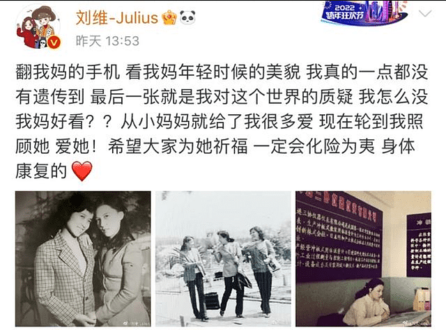 刘维宣布暂退娱乐圈，母亲癌症复发病情危险，圈内好友施以援手 - 4