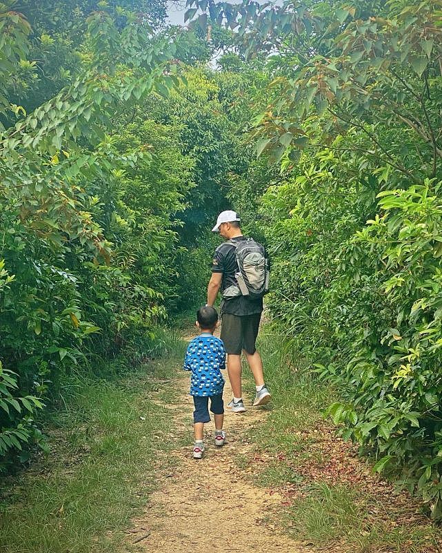 胡杏儿夫妇带儿子们爬山抓昆虫 一家四口享受健康的亲子活动 - 6