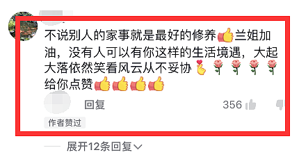 张颖颖手撕汪小菲后，张兰表态喜欢大S，怒斥网友八卦家事没修养 - 10