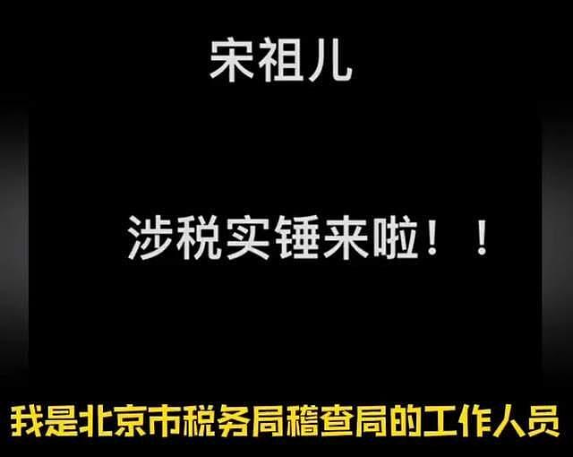 卓伟曝宋祖儿涉税内幕！举报人系母亲男友的亲戚，其母还是小三？ - 14