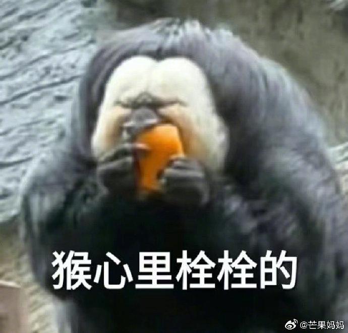 谁还没看过红山动物园顶流杜杜吃橙子，它怎么这么搞笑啊哈哈哈哈哈哈 - 7