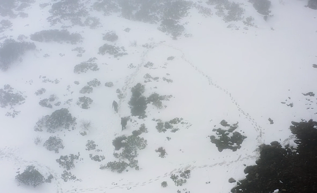 46岁钟汉良重走长征路，零下爬雪山环境艰险，走路手脚并用引泪目 - 8