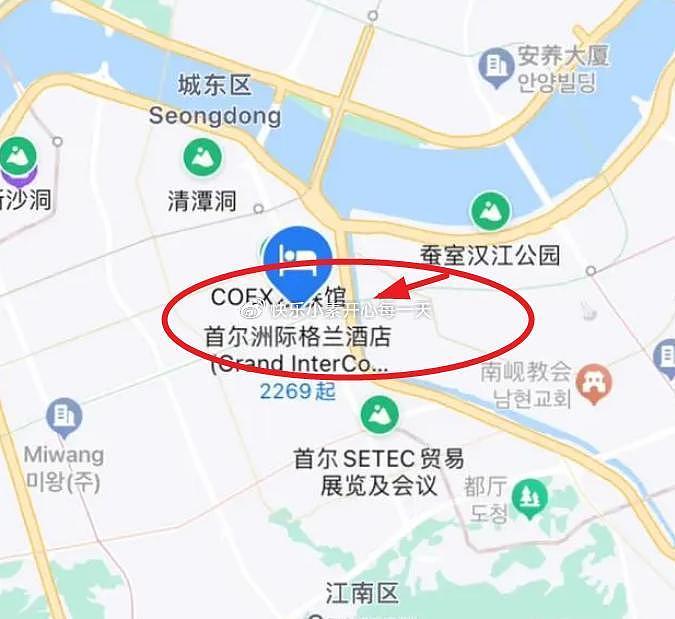 大S被曝带孩子在韩国住酒店，大S和婆婆的关系引发质疑 - 5