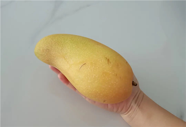 图：1个大芒果，可食部约400克作者拍摄