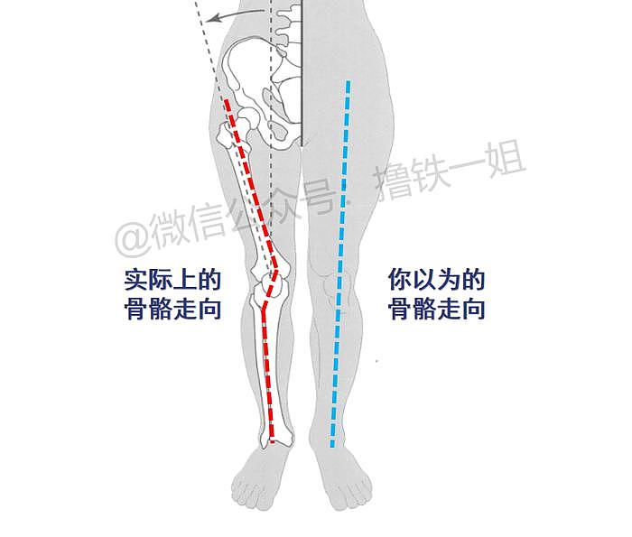 刘亦菲台上油光锃亮的“大象腿”，治好了多少女性的身材焦虑？ - 15