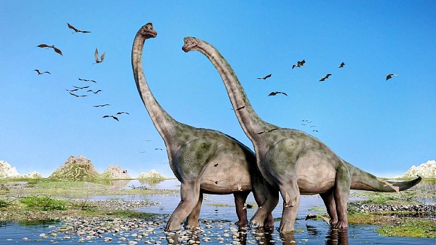 恐龙体型越大越怕冷？科学家发现蜥脚类恐龙只在中低纬度地区分布 - 4