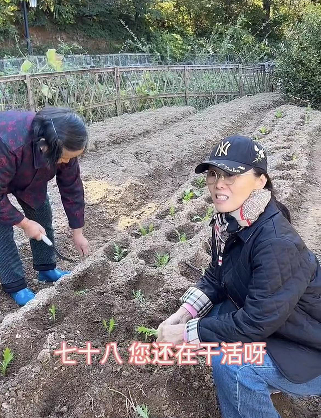 60岁吴琼回安徽农村老家，穿九千五外套站泥土地里，种菜姿势熟练 - 4