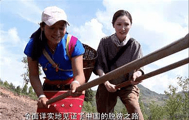 期待！TVB知名主持曝《无穷之路2》开拍在即，望继续讲好中国故事 - 4