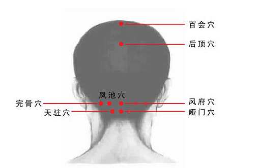 头疗的基本步骤   头部经络图解大全图片及作用 - 2