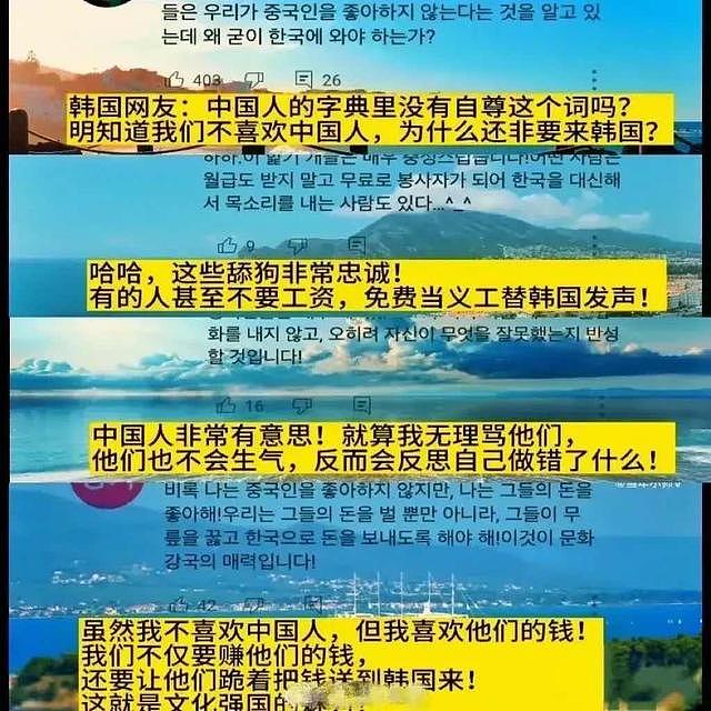 蔡文静机场摔倒惹争议！五一赴韩旅游被骂惨，韩网友评论太气人 - 6