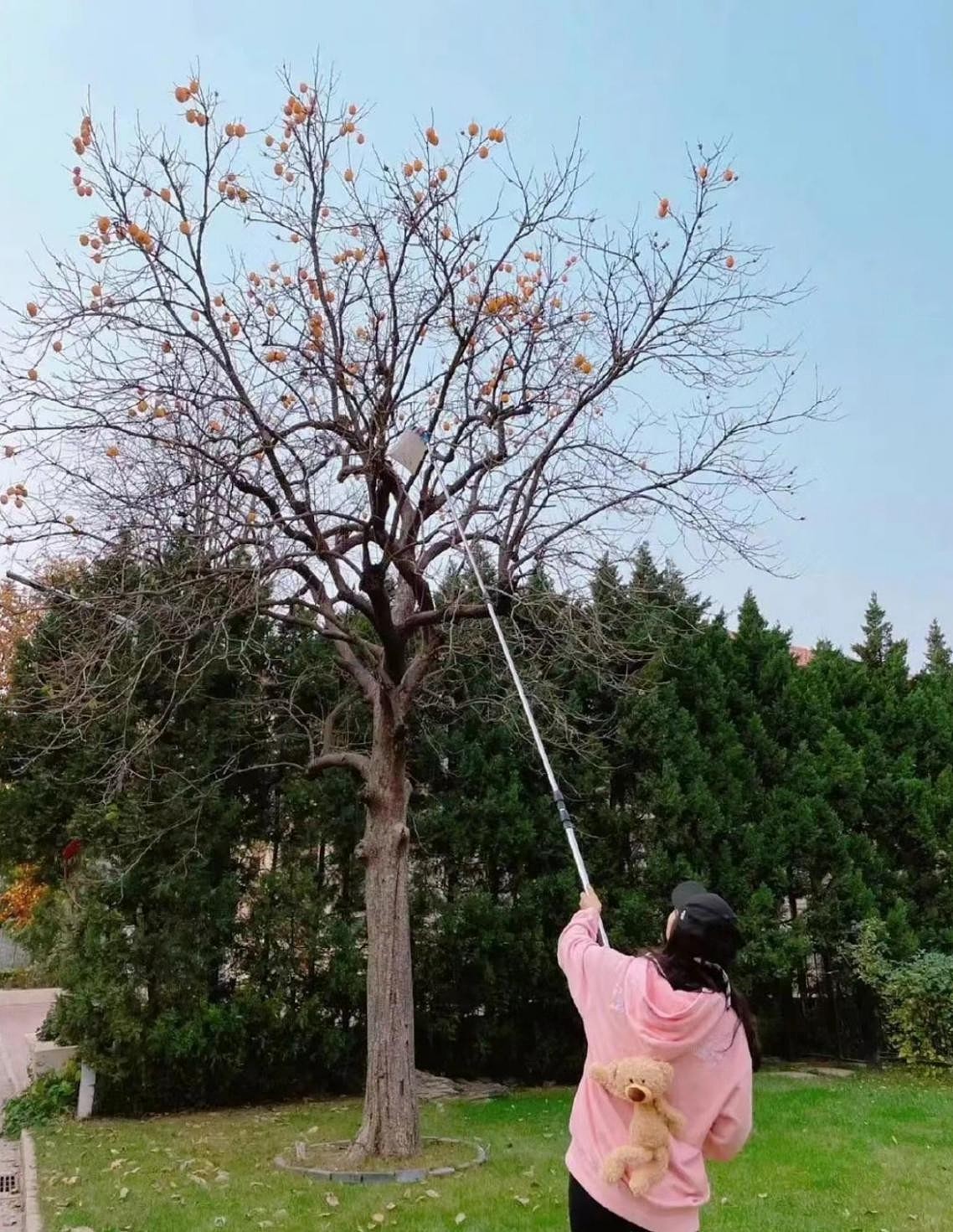 陈好谈退圈原因，读完研究生当中戏老师，老年妆被孩子调侃像奶奶 - 6