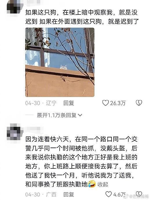 怎么你们每个人都有通勤搭子！ - 2